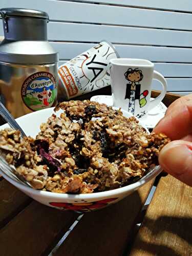 Granola sous le "cygne" de la St Valentin