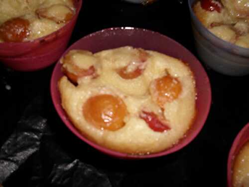 CLAFOUTIS AUX MIRABELLES