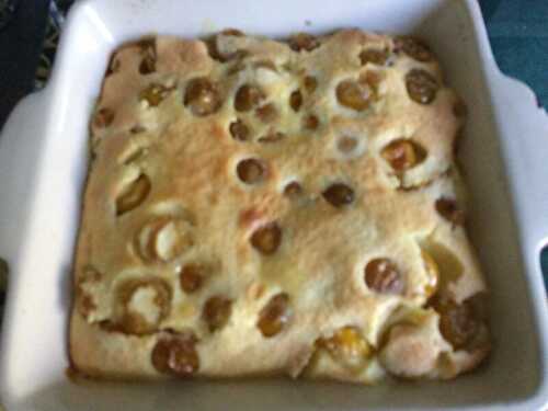 CLAFOUTIS MIRABELLE