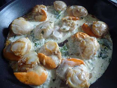 COQUILLES SAINT JACQUES POELEES