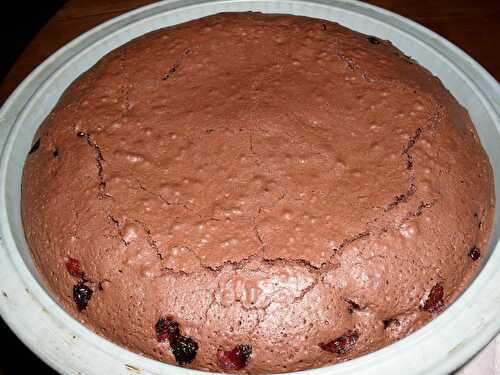 GATEAU AU CHOCOLAT ET CRANBERRIES