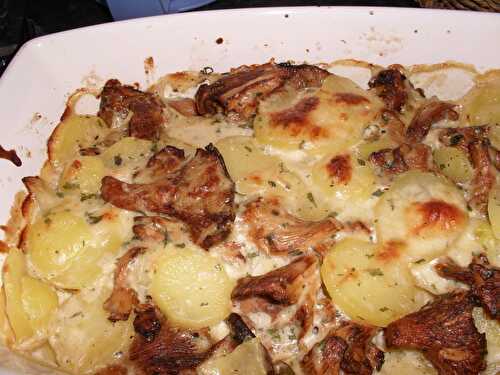 GRATIN POMMES DE TERRE AUX GIROLLES