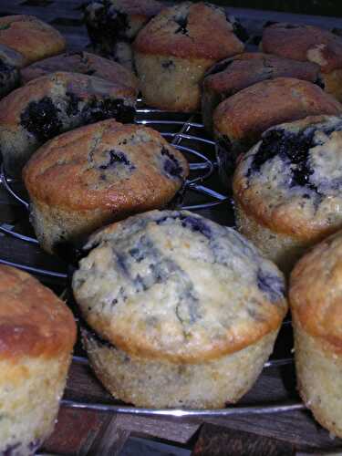 MUFFINS AUX MYRTILLES