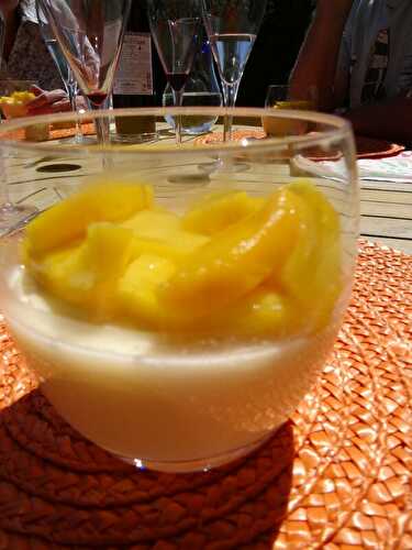 PANNA COTTA MANGUE- COCO