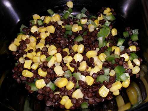 SALADE DE LENTILLE COLOREE