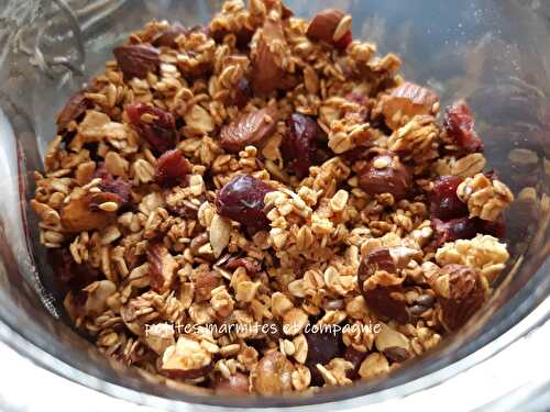 Granola aux fruits secs