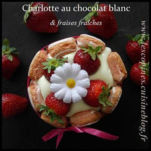 Charlotte au chocolat blanc & fraises fraîches.