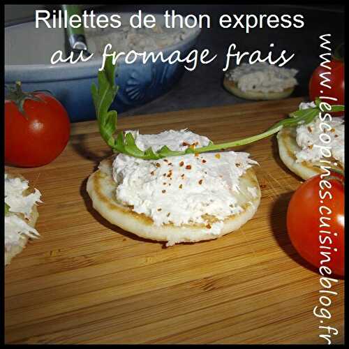 Rillettes de Thon express au fromage frais.