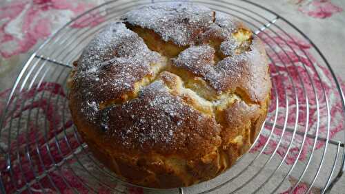 Gâteau moelleux aux groseilles