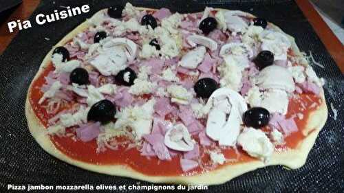 Pâte à pizza avec fromage blanc