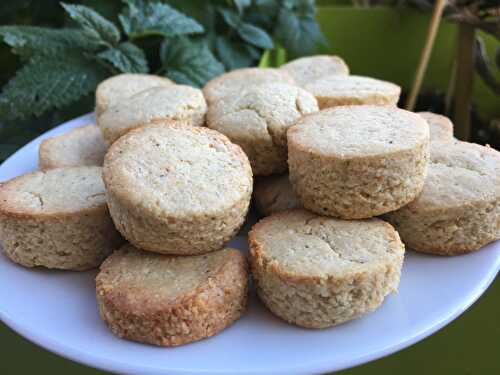 Biscuits salés (vegan & sans gluten)