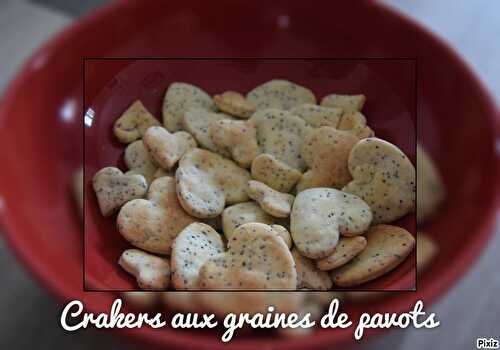 Crakers aux graines de pavot