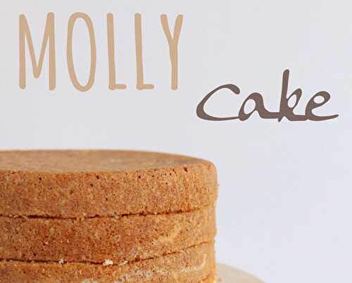 Recette du Molly cake pour le cake design - Blog Planete Gateau