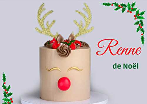 Gâteau Renne de Noël facile sans pâte à sucre - Blog Planete Gateau