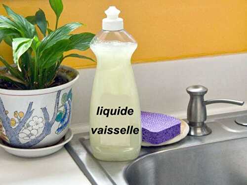 Liquide vaisselle fait maison avec thermomix