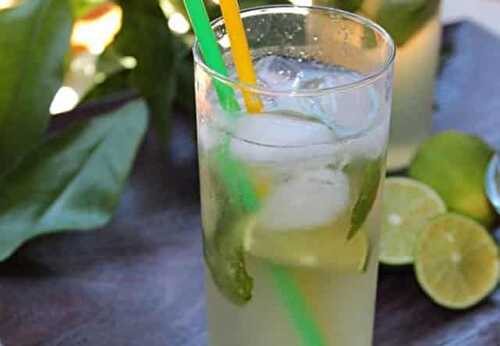 Mojito léger WW