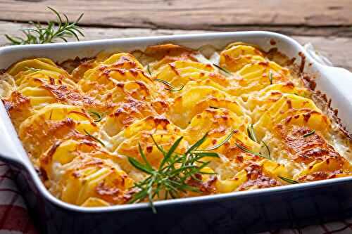 Chaleur et Saveur : 4 Gratins Hivernaux avec les Meilleurs Légumes de Saison