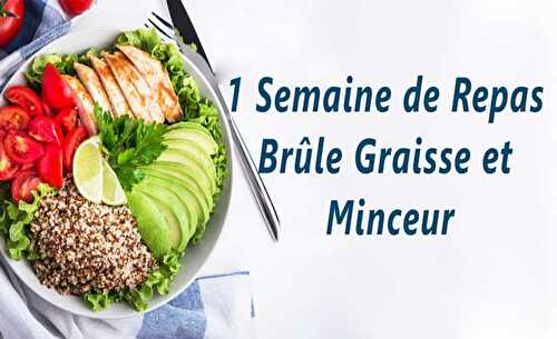 1 Semaine de Repas Brûle Graisse et Minceur