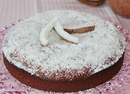 Gâteau à la Noix de Coco Facile avec Thermomix