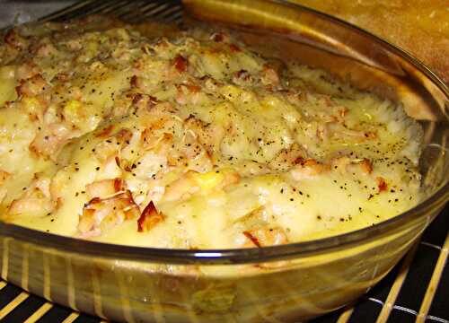 Gratin d'Endive à la Sauce au Camembert