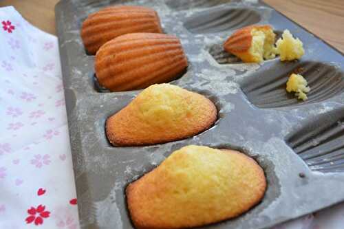 Madeleines Légères