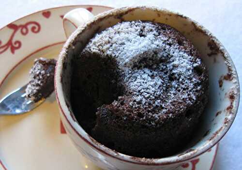 Mug Cake au Yaourt et au Cacao - Plat et Recette