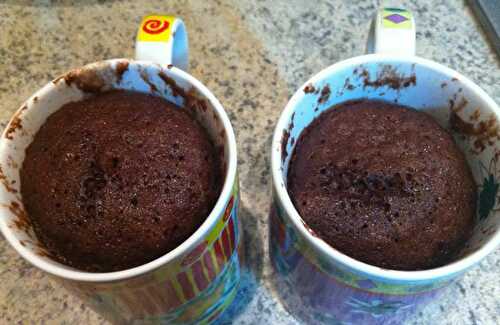 Mug Cake Chocolat au Thermomix - Plat et Recette