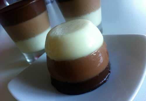 Panna Cotta aux trois Chocolats au Thermomix