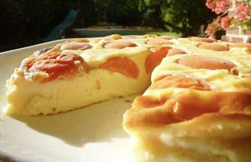 Flan Pâtissier Léger aux Abricots