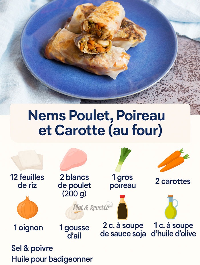 Nems Poulet Poireau et Carotte