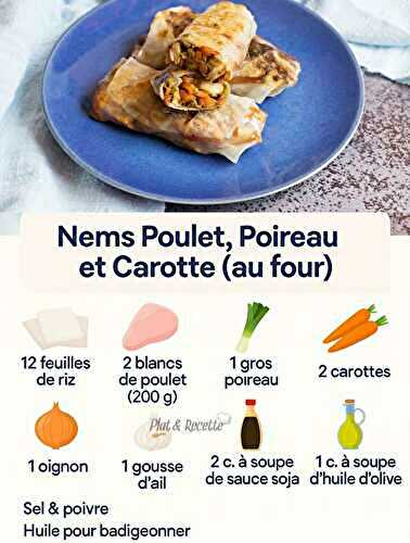 Nems Poulet Poireau et Carotte