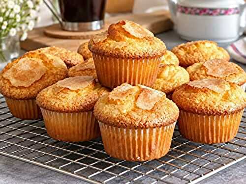 Madeleines Espagnoles Légères et Moelleuses