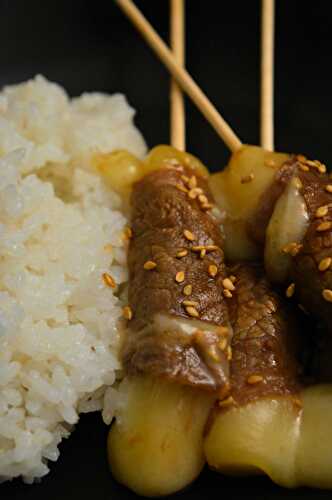 Brochettes Yakitori - Bataille Food #62