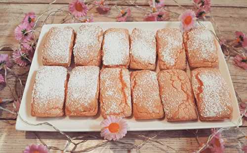 Biscuits roses de Reims au Thermomix