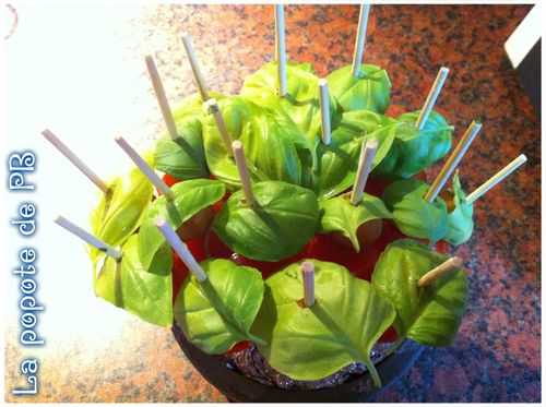 Bouquet tomates cerises/basilic