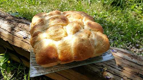 Brioche Buchty au Thermomix