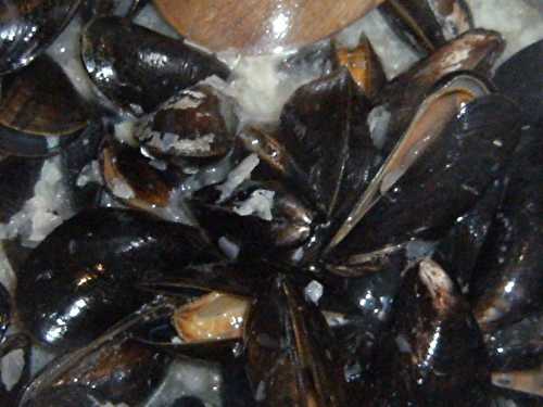 Moules marinières