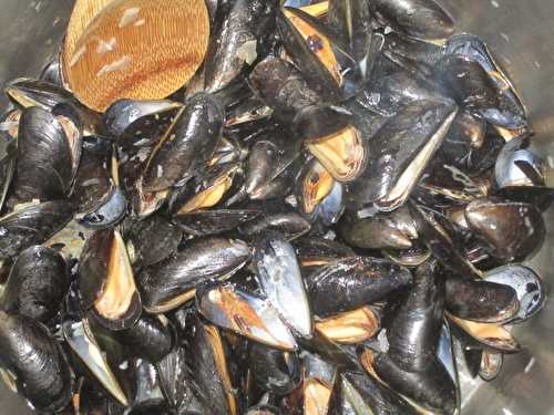 Moules marinières