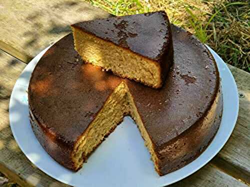 Gâteau au miel Kasutera