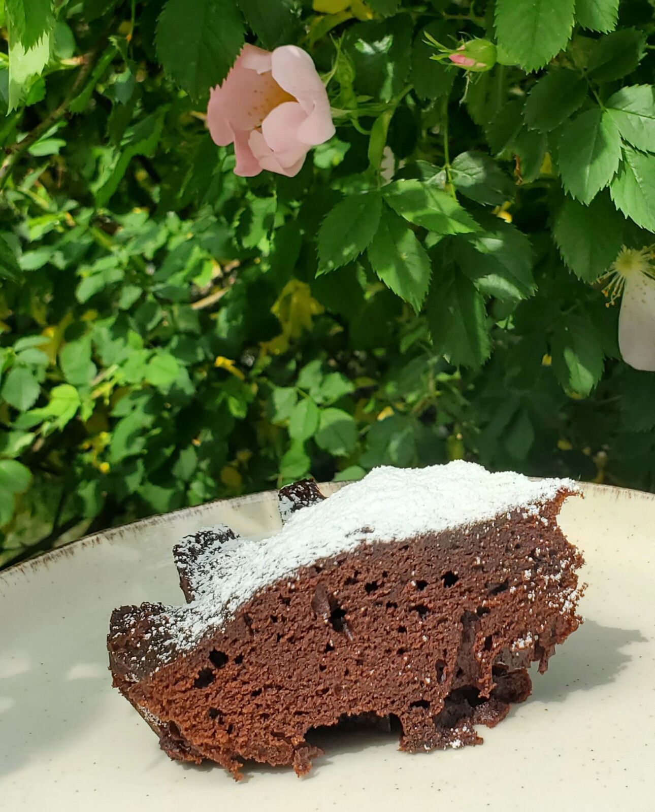 Gâteau expresse au micro-ondes