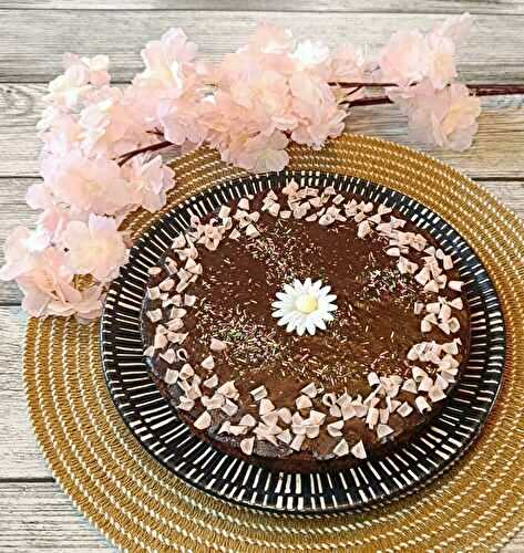 Gâteau moelleux au yaourt et au chocolat