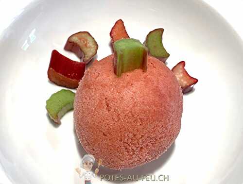 Sorbet à la Rhubarbe facile