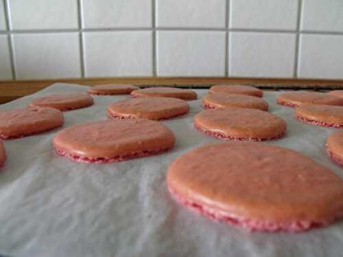 Macarons aux fruits des bois