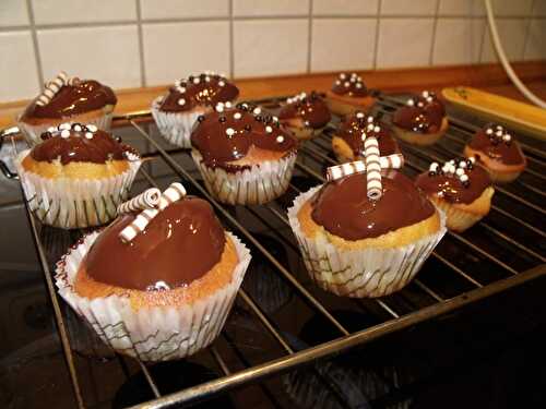 Muffins citron / chocolat - Pour vos palais !