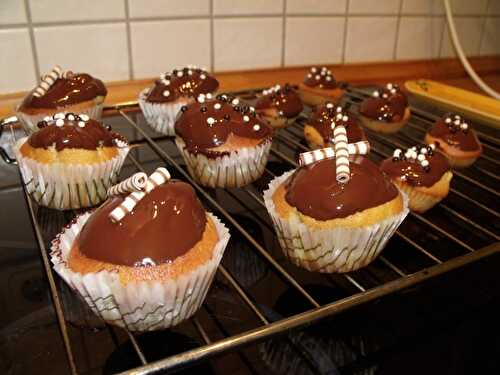 Muffins citron / chocolat