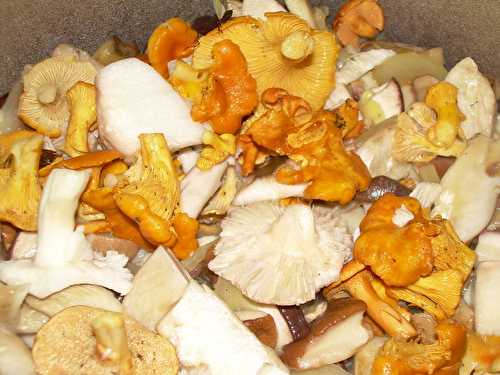 Fricot de champignons vosgien