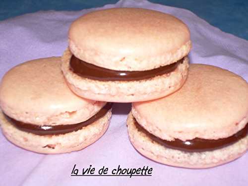 Macarons chocolat-orange - Quand Choupette et Papoune cuisinent