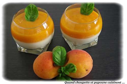 PANNA COTTA CHOCOLAT BLANC ET COULIS D'ABRICOTS