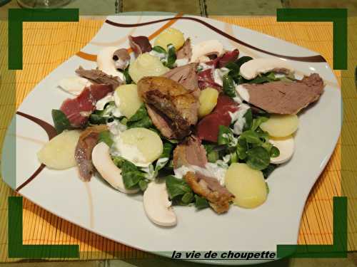 SALADE DE MACHE MORCEAUX DE PERDREAUX ET GESIERS DE CANARD