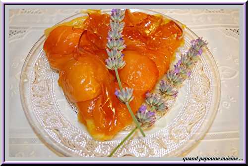 TATIN DU ROUSSILLON